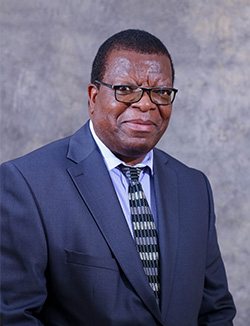 Dr Silvanos Gwarinda Board Chairperson